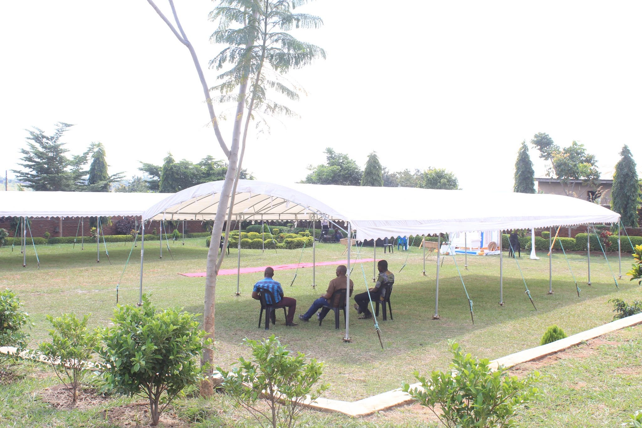Garden 2